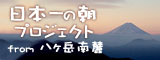 朝プロ