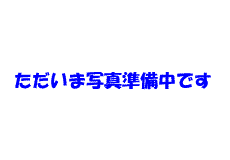 �ʐ^������